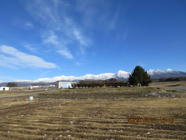 �ǂ����N�����}����������