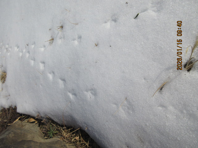 �������ƁI�I