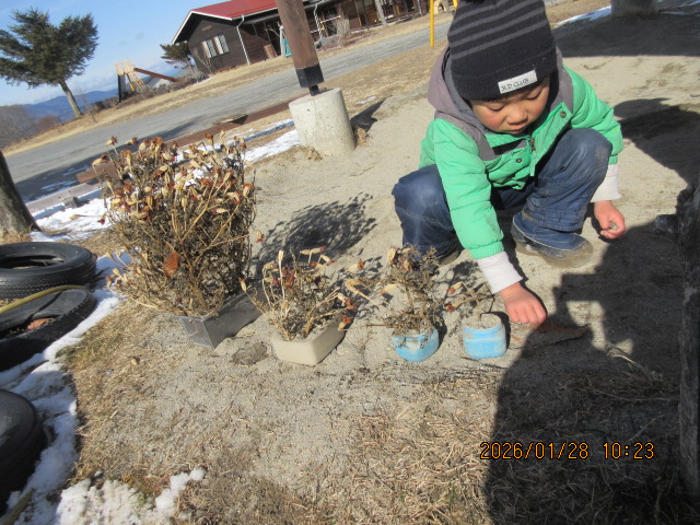 �~�̂��ԉ�����