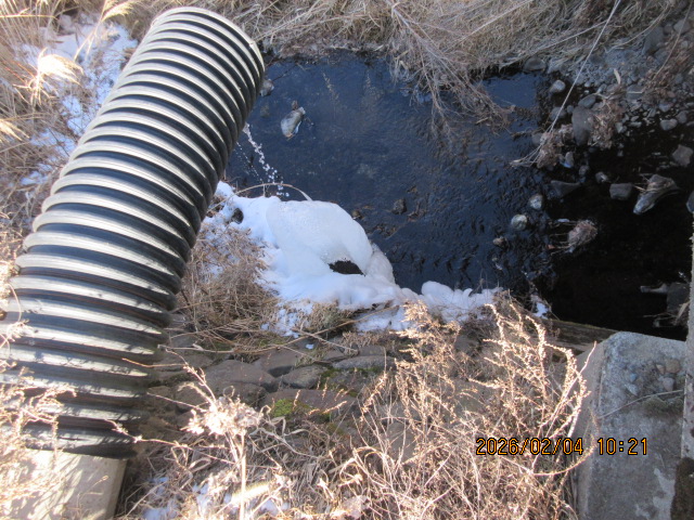 �~�̂��U���i2�j