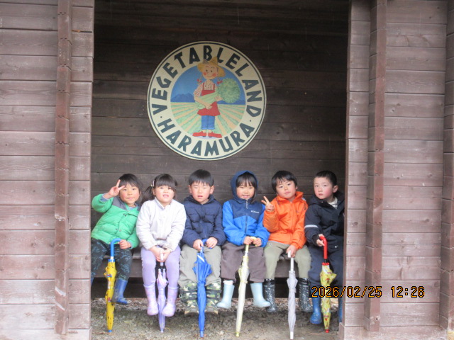 �}�C�P���̌W�ӏ܂ɍs���Ă��܂����B