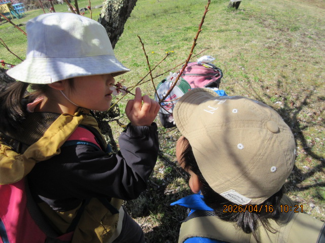 ���U��������ہ�D