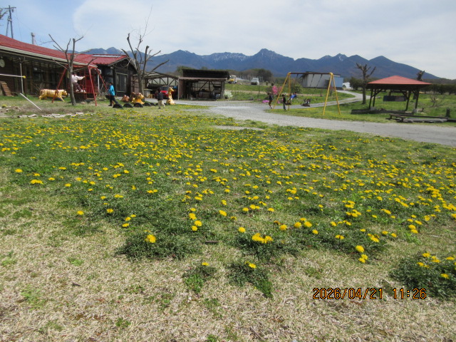 �^���|�|�̂��イ����