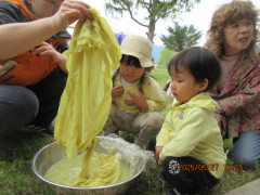 みんなで、摘んできたヨモギを洗い、先生が茹でてくれました。 ヨモギの煮汁に、草木染に使うお薬を足して、シルクの布をひたしてみました。「わあっ!黄色になったよ!」