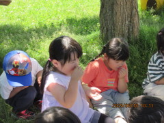 板村さんから、いろんなハーブの葉っぱをもらって、香りを嗅いでみました。 「お菓子みたいな香り!」「これは薬の匂いだ」 ハーブって、たくさん種類があって、いろんな香りがあるんだ!