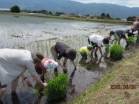 お田植え、がんばりました!